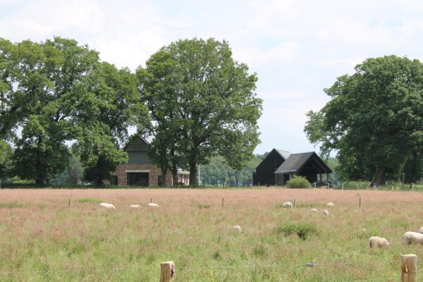 Buro SRO - Nieuws - Enthousiaste nieuwkomers op Landgoed De Groote Scheere