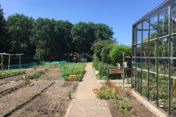 5 Wereldtuin Verdeliet Valuwe Cuijk wereldtuin Mgr. Zwijnssestraat